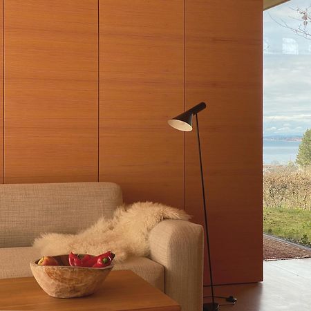 Haus Am Felsen, Ferien In Vorarlberger Architektur Appartement Bregenz Buitenkant foto