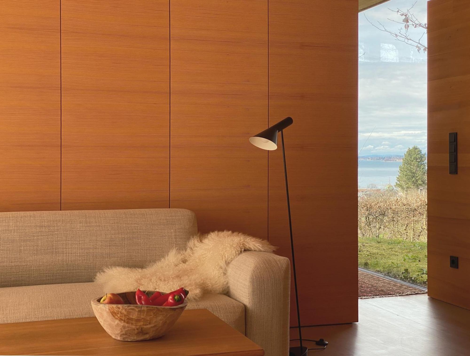 Haus Am Felsen, Ferien In Vorarlberger Architektur Appartement Bregenz Buitenkant foto